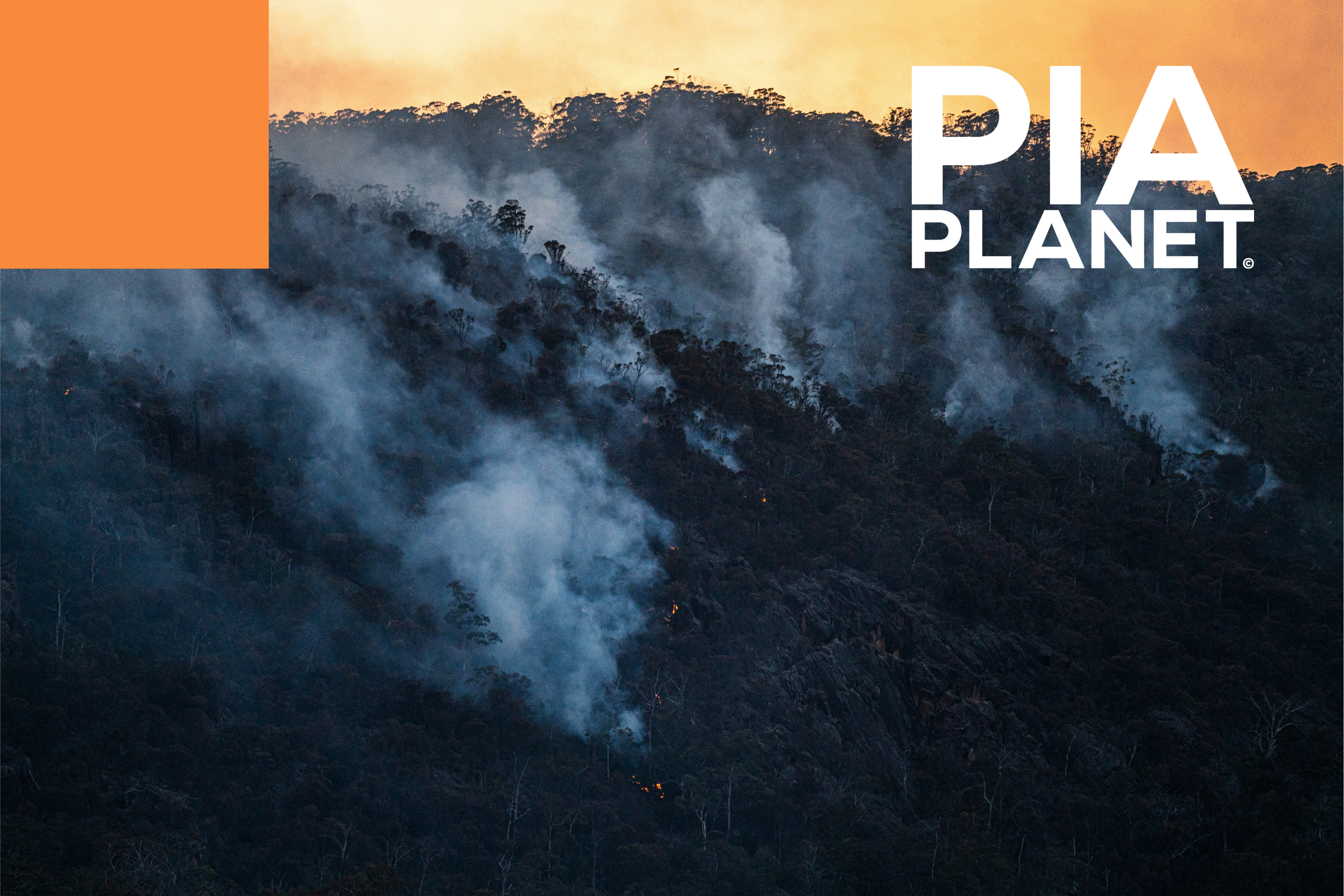 PLANET SA | Bushfire Management & Planning